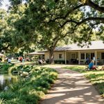 Discovering Local Support Systems for Mental Wellness in New Braunfels
