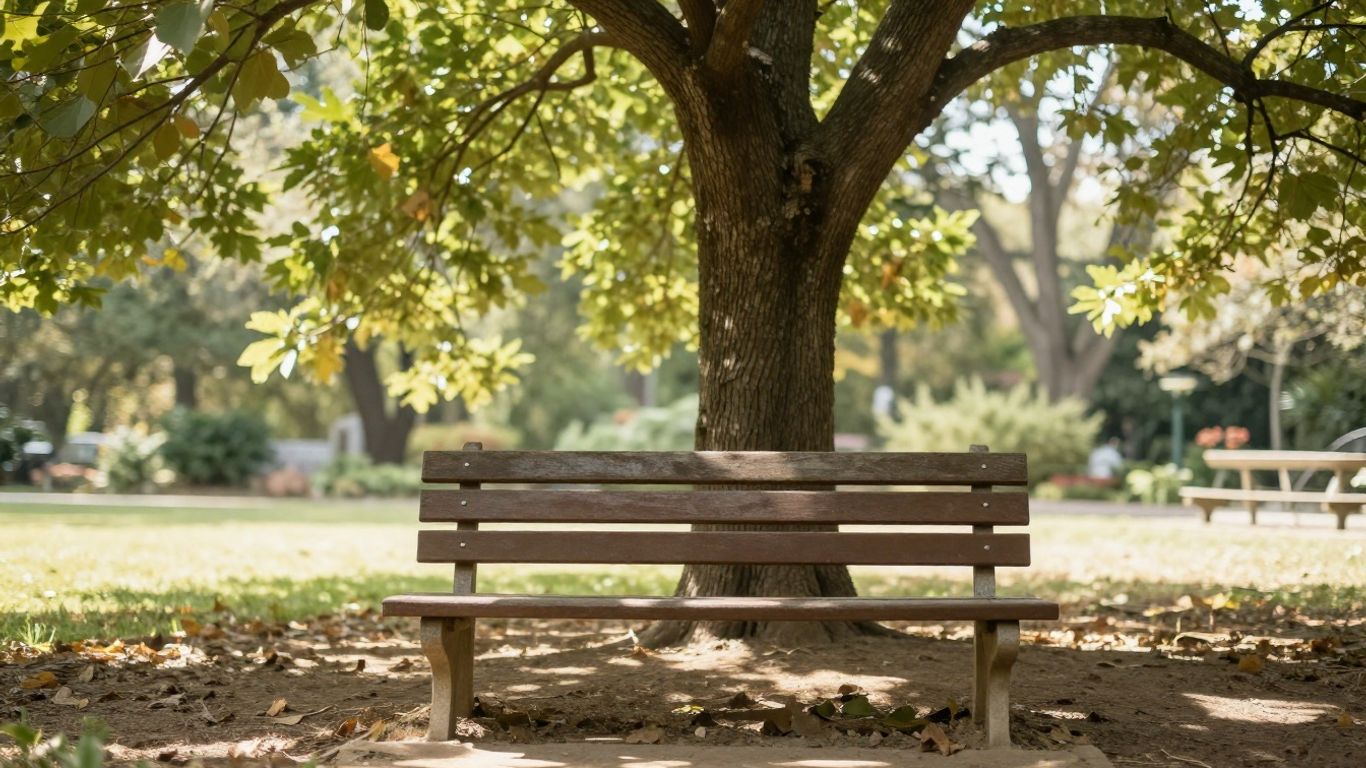 A quiet park bench